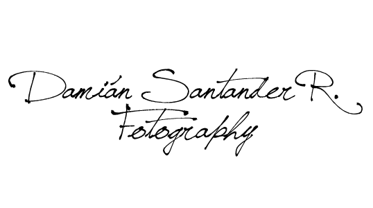 Damsan logo